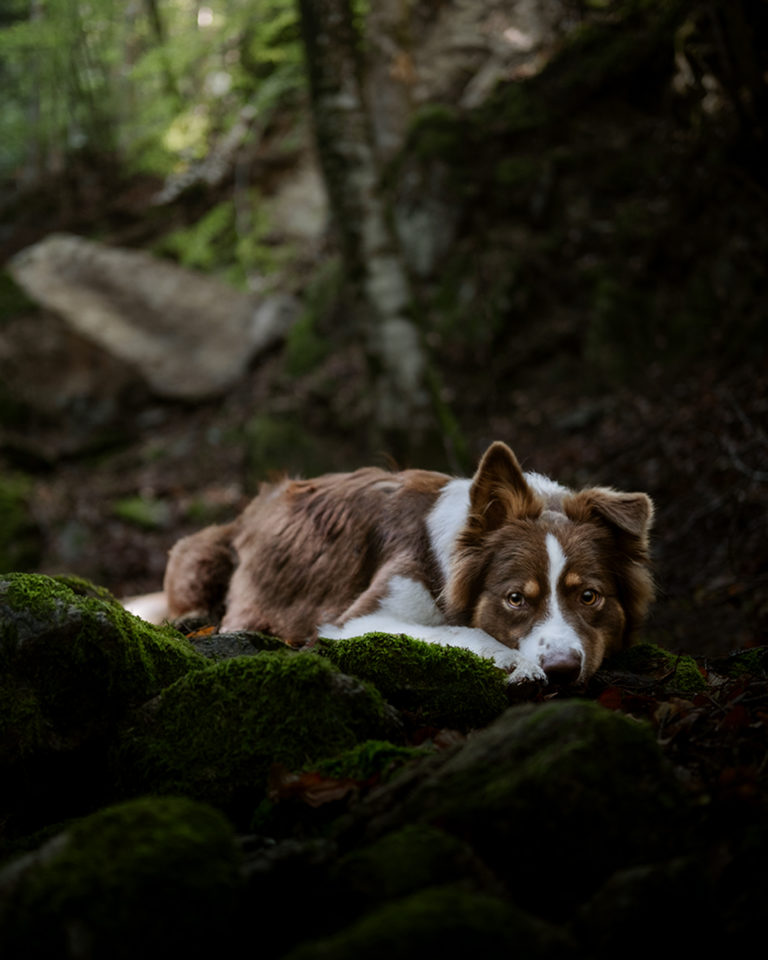 DSCF0472 instagram 768x960