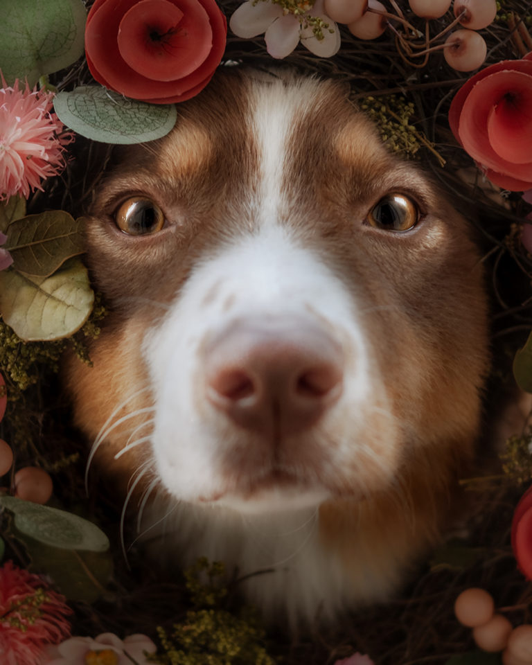 DSCF1309 instagram 768x960