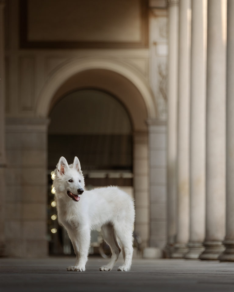 DSCF3135 Instagram 768x960