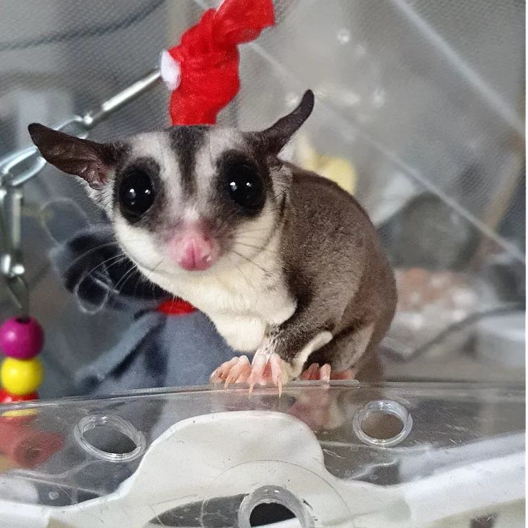 IMG 20230529 145046 354 768x768