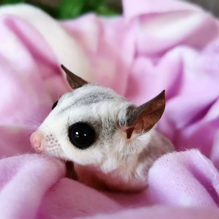 IMG 20230605 153637 888 768x768