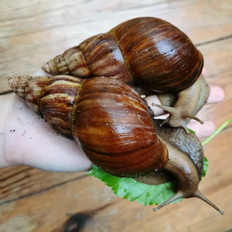 IMG 20230605 220402 530 768x768