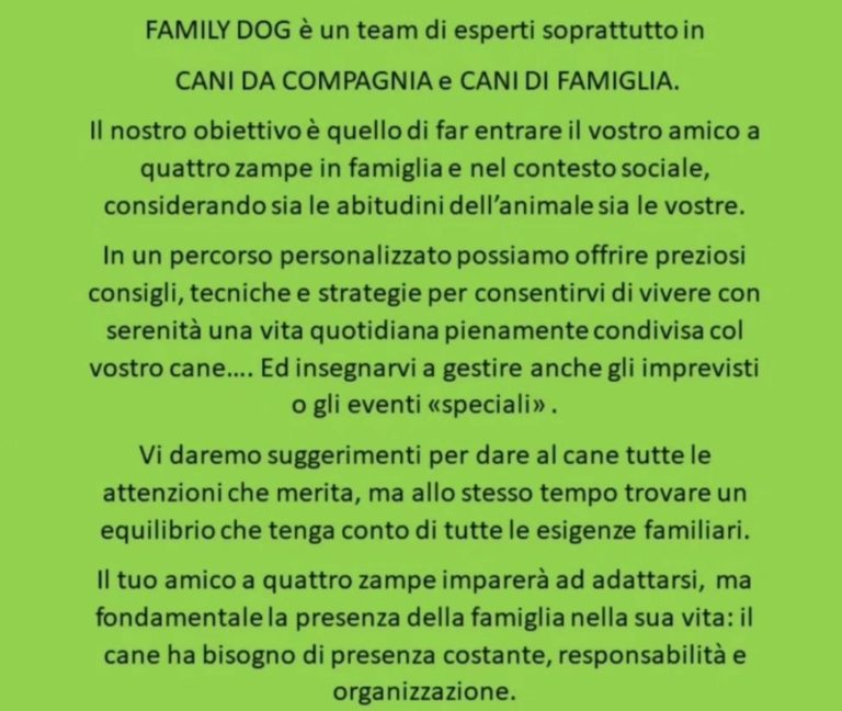 IMG 20231116 235915 768x648