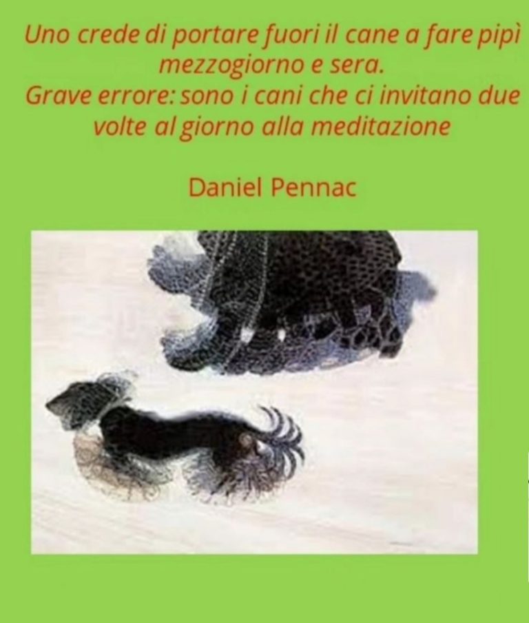 IMG 20231117 000032 768x904