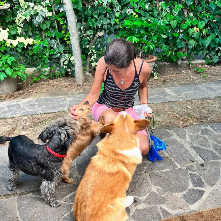 IMG 20230707 210210 470 768x768