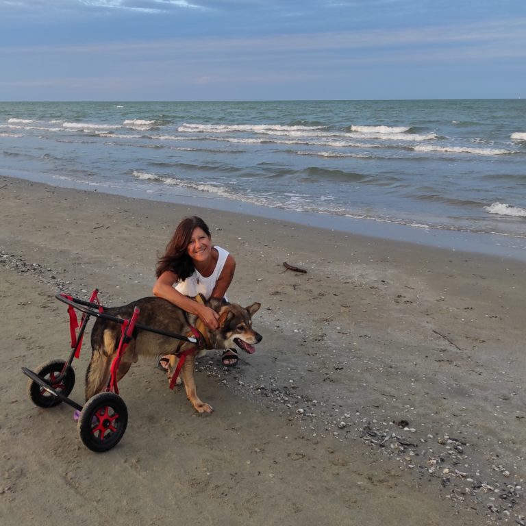 IMG 20230809 214325 944 768x768