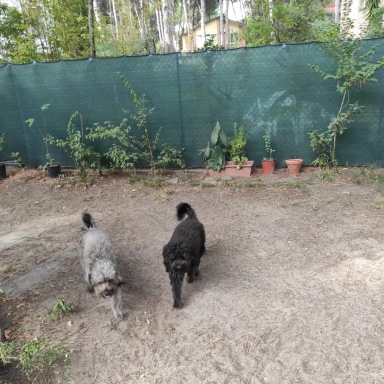 IMG 20231008 142101 113 768x768