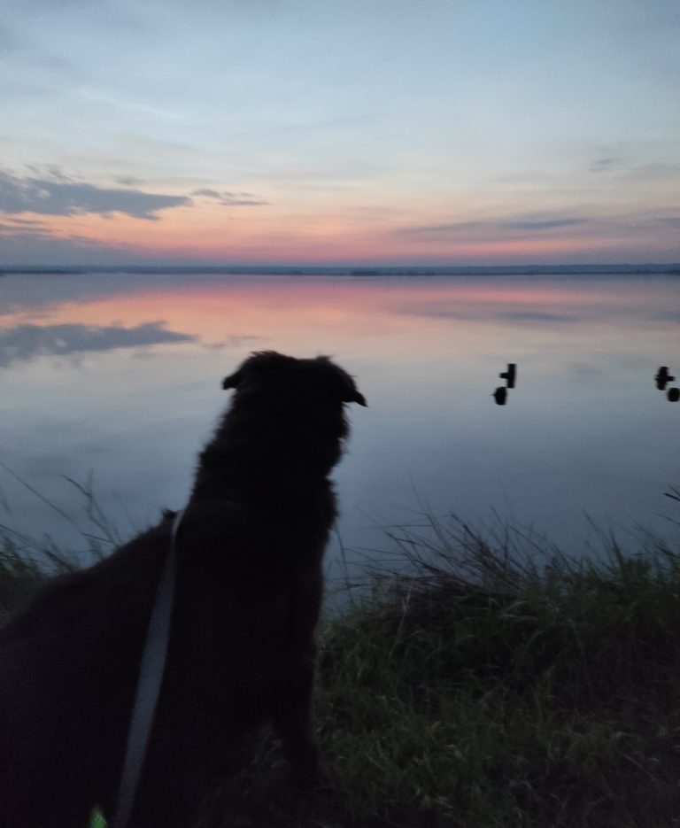 IMG 20231120 194932 768x935