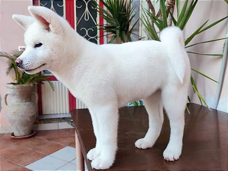 d9a7fdaa 5bdc 4669 bac3 a4a9d71b1ddd 768x576