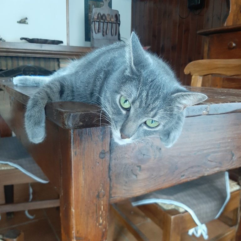 20230815 091458 768x768