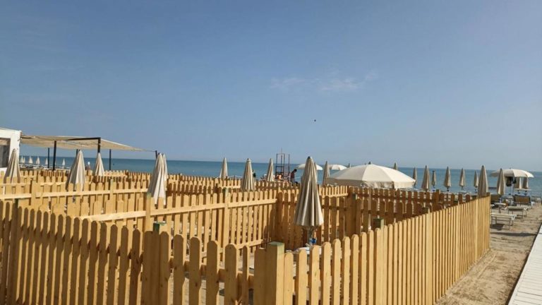 IMG 20240115 WA0000 768x432