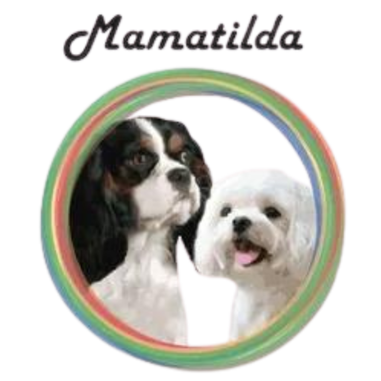 Logo sfondo trasparente 768x768