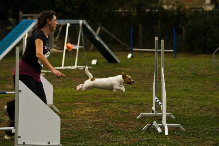 1383259 10201714443017175 1698790813 n 768x512