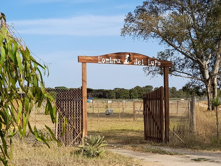 20210801 173520 768x576