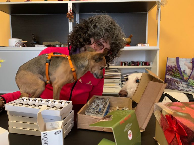 WhatsApp Image 2024 02 23 at 08.20.47 768x576