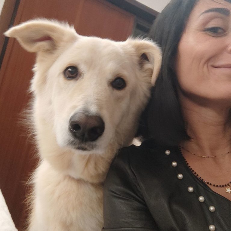 Noemi la cat sitter 768x768